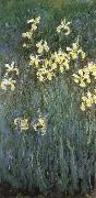 Claude Monet Yellow Irises USA oil painting artist
